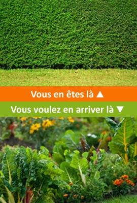Organiser sa maison – Jardin permaculture